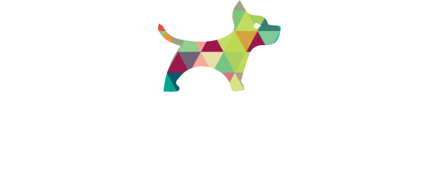 Bowhaus Pet Company